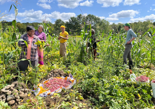 Sustainable Farming Practices in Florida: Supporting Local Food and Cuisine